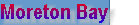 millenniumcat_indexpage001013.jpg