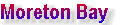 millenniumcat_indexpage002012.jpg