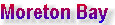 millenniumcat_indexpage004005.jpg