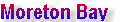 millenniumcat_indexpage005005.jpg