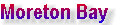 millenniumcat_indexpage006017.jpg