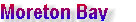millenniumcat_indexpage007004.jpg